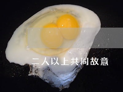 二人以上共同故意 二人以上共同故意