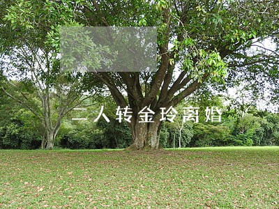 二人转金玲离婚 二人转金玲离婚