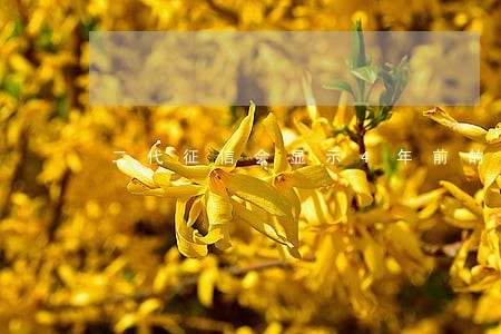 二代征信会显示4年前的逾期吗 二代征信会显示4年前的逾期吗