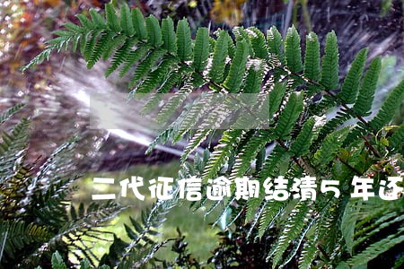 二代征信逾期结清5年还显示吗