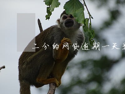 二分的网贷逾期一天是多少钱