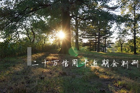 二十万信用卡逾期会判刑吗 二十万信用卡逾期会判刑吗