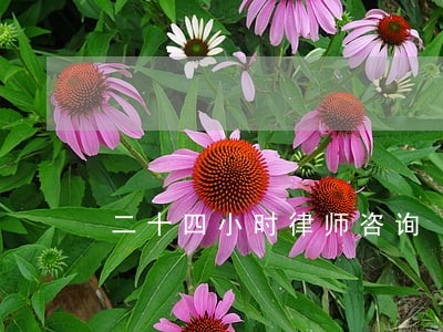 二十四小时律师咨询 二十四小时律师咨询