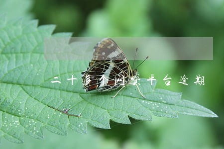 二十多个网贷平台逾期