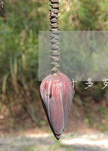 二十多岁两个孩子就离婚 二十多岁两个孩子就离婚