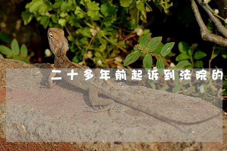 二十多年前起诉到法院的经济案 二十多年前起诉到法院的经济案