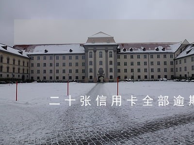 二十张信用卡全部逾期了 二十张信用卡全部逾期了