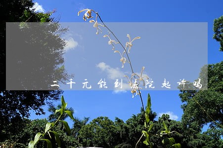 二千元能到法院起诉吗 二千元能到法院起诉吗