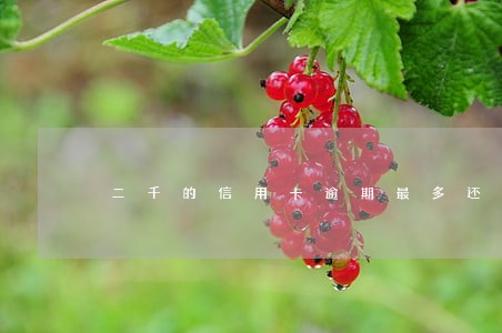 二千的信用卡逾期最多还多少 二千的信用卡逾期最多还多少