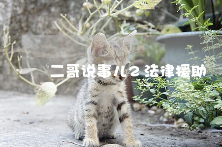 二哥说事儿2法律援助 二哥说事儿2法律援助