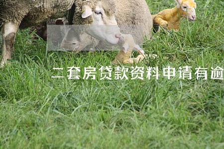 二套房贷款资料申请有逾期 二套房贷款资料申请有逾期