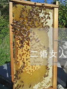 二婚女人最聪明的离婚方式 二婚女人最聪明的离婚方式