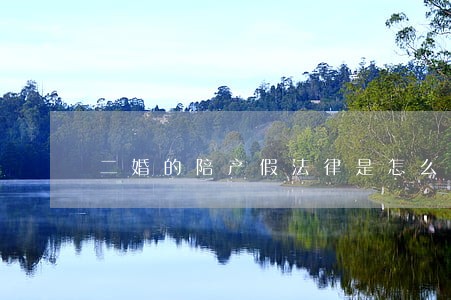 二婚的陪产假法律是怎么规定的 二婚的陪产假法律是怎么规定的