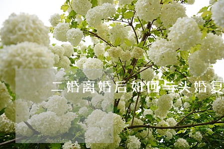 二婚离婚后如何与头婚复婚 二婚离婚后如何与头婚复婚