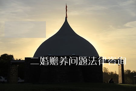 二婚赡养问题法律咨询 二婚赡养问题法律咨询