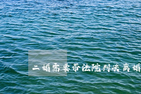 二婚需要带法院判决离婚证吗 二婚需要带法院判决离婚证吗