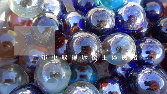 二审中取得诉讼主体资格 二审中取得诉讼主体资格