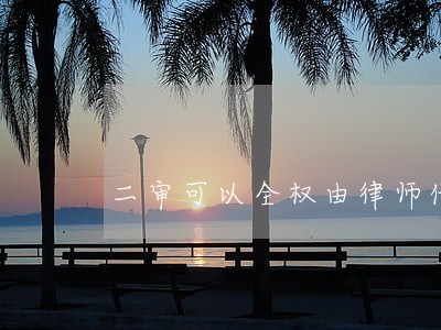 二审可以全权由律师代理吗