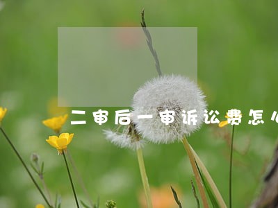 二审后一审诉讼费怎么退 二审后一审诉讼费怎么退