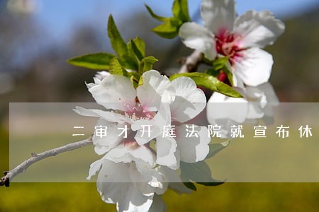 二审才开庭法院就宣布休庭 二审才开庭法院就宣布休庭