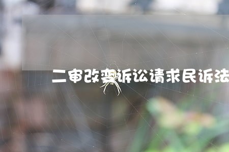 二审改变诉讼请求民诉法解释