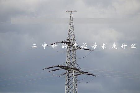 二审新的诉讼请求是什么