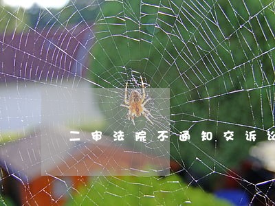二审法院不通知交诉讼费 二审法院不通知交诉讼费