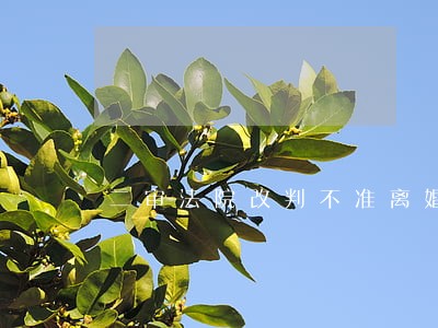 二审法院改判不准离婚 二审法院改判不准离婚