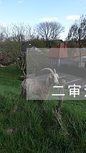 二审法院是否可以依职权发回