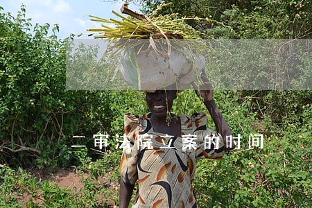 二审法院立案的时间 二审法院立案的时间