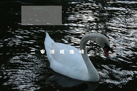 二审法院维持