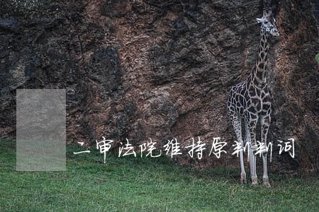 二审法院维持原判判词 二审法院维持原判判词