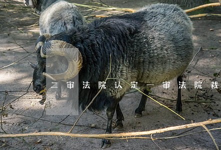 二审法院认定一审法院裁定正确 二审法院认定一审法院裁定正确