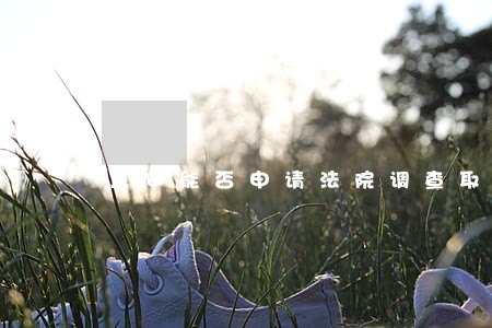 二审能否申请法院调查取证