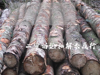 二审诉讼和解未履行 二审诉讼和解未履行