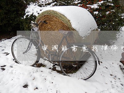 二审调解需要找律师吗 二审调解需要找律师吗