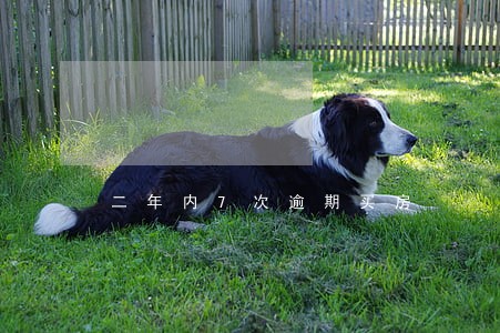 二年内7次逾期买房 二年内7次逾期买房