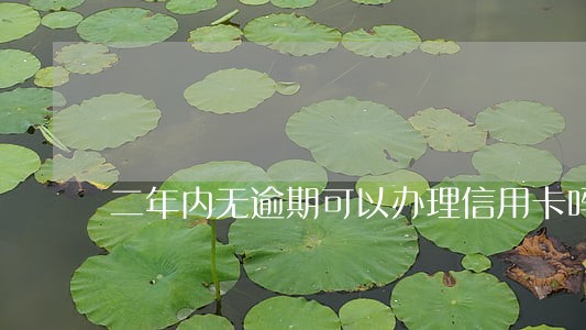 二年内无逾期可以办理信用卡吗