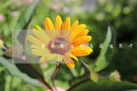 二年前有逾期美团信用卡好申请吗