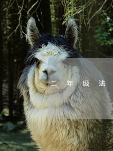 二年级法制手抄报大全 二年级法制手抄报大全
