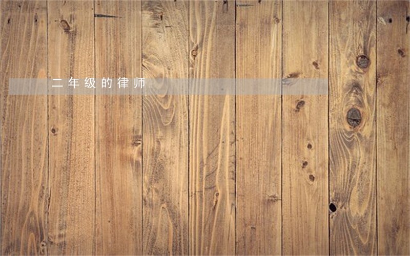 二年级的律师 二年级的律师