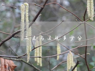 二建与法规多少分 二建与法规多少分