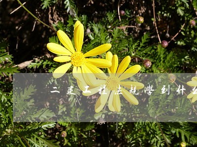 二建工程法规学到什么 二建工程法规学到什么