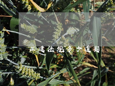 二建法规多少道题 二建法规多少道题