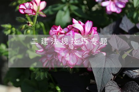二建法规技巧专题 二建法规技巧专题