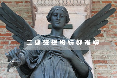 二建法规投标好难啊 二建法规投标好难啊