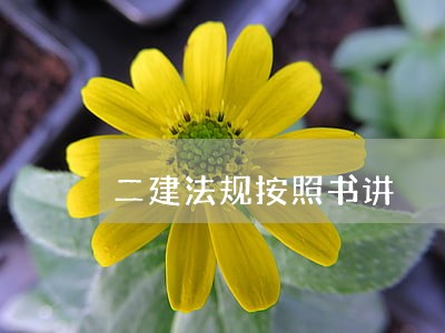 二建法规按照书讲 二建法规按照书讲