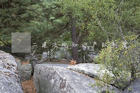 二建法规知识产权制度 二建法规知识产权制度