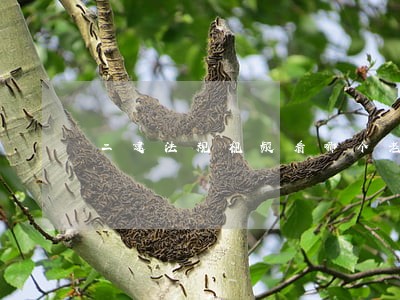 二建法规视频看哪个老师的好 二建法规视频看哪个老师的好