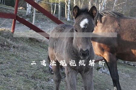 二建法规视频解析 二建法规视频解析